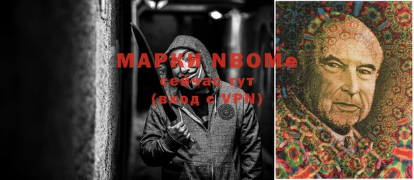 шишки Абинск