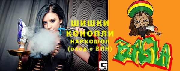 шишки Абинск