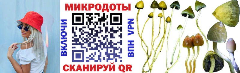 купить Цоци-Юрт Псилоцибиновые грибы Psilocybe