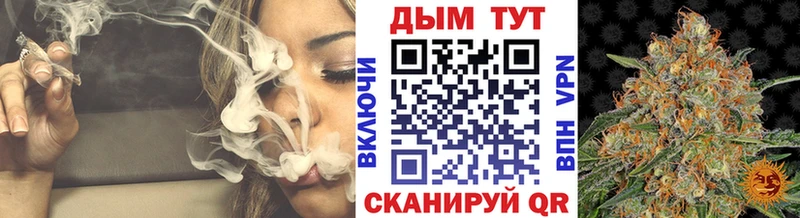 закладка  Цоци-Юрт  Марихуана White Widow 